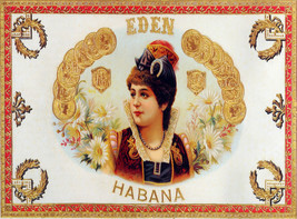 16x20&quot;Decoration CANVAS.Interior design art.Eden Habana cigar label.6324 - $46.53