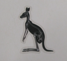 Kangaroo X-Ray Transparent Sticker 2.25&quot; x 1.75&quot; (AG) - $1.64