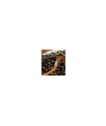 Home Grown Natural Black Garbanzo Beans Chick Peas Seeds - €2,78 EUR