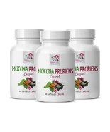 energy supplements for woman - MUCUNA PRURIENS EXTRACT - Mood enhancemen... - $52.37 CAD