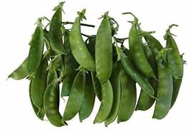 Oregon Giant Snow Pea Seeds- 200 Count Seed Pack - Non-GMO - Finest Tasting, Mos - £3.13 GBP