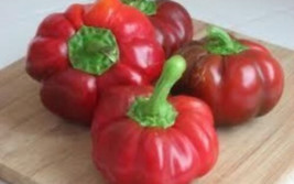 25 Seeds Sweet Red Pimento Peppers Planting Fresh Garden - £7.64 GBP