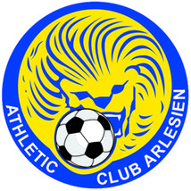 AC Arlesien Arles-Avignon #NEW FC France Football Iron On Embroidered Patch - $15.99+