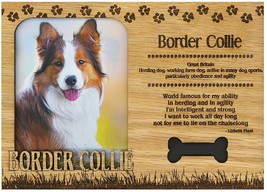 Border Collie Engraved Wood Picture Frame Magnet - £11.23 GBP
