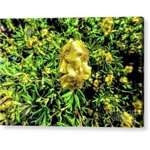 Acrylic Print "Yellow Flower" - $81.03 CAD - $455.94 CAD