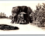 RPPC Giant Cedar Stump Snohomish Washington WA UNP Webber Photo Postcard K3 - £3.47 GBP