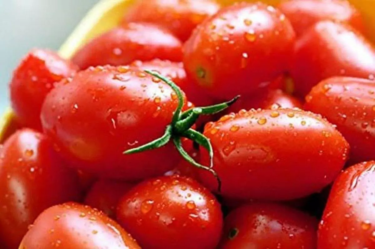 LWS Crovarese Italian Grape Tomato Garden Planting 30 Seeds Fast Shipping - £7.14 GBP