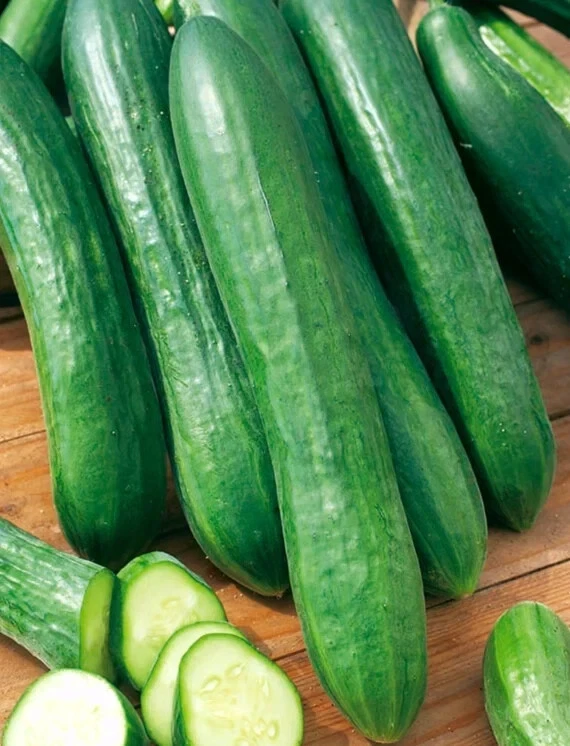 25 Seeds Tiffany Cucumbers Planting Edible Food Canning Pickling - $10.01