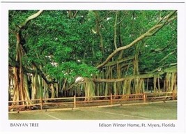 Fort Myers Florida Postcard Edison Winter Home Banyan Tree - £2.73 GBP