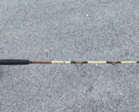 Fishing Rod BR-50 Custom Built For Fisherman&#39;s Paradise Deep Sea with Re... - $290.19