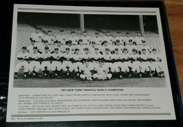 1953 New York Yankees Team Photo  8x10 Daily News Original Reprint - £7.99 GBP