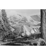 1970’s UFO alien craft forest crash landing b/w 8x10 scene - $9.11 CAD