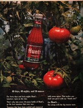 1963 Hunt&#39;s Tomato Catsup Ad 40 Days 40 Nights &amp; 14 Ounces NOSTALGIC B6 - £16.89 GBP