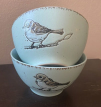 Set of 2 Spectrum Inhomestylez Spring Bird  Bowls Ceramic Aqua NWT Diam 7” - $36.97