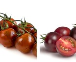 500 Seeds Tomato Seeds - Cherry - Chocolate Cherry - $30.93