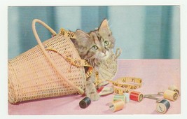 Vintage Postcard Kitten Plays in Sewing Basket Little Miss Mischief Cat 1960&#39;s - £5.53 GBP