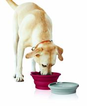 Pet Parade - Pop-up Food &amp; Water Bowl Set - Travel Friendly Pet Bowl - Collapsib - £5.51 GBP