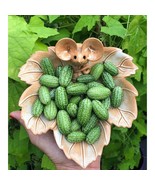 Explore Flavors With 100Pcs Cucamelon Seeds Mexican Sour Gherkin New Fre... - $6.63 CAD