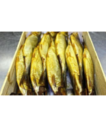 Salted smoked Egyptian Renga Fish// 1kgs … Free shipping  - £25.84 GBP
