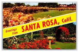 Doppio Vista Banner Greetings From Santa Rosa California Ca Cromo Cartolina S15 - $3.83