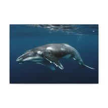 Majestic Whale Art Majestic Whale Print Animal Wall Art Wildlife Canvas Prints  - £56.28 GBP+