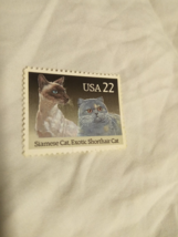 1988 USA 22¢ Siamese &amp; Exotic Shorthair Cats Postage Stamp #2372  MNH- 1 Stamp - £1.56 GBP
