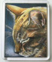 Cat Art Acrylic Large Magnet - Rudy Asleep - £6.28 GBP