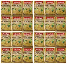 Indofood Opor Ayam Curry Sauce, 1.6 Ounce (Pack of 24) - $98.85