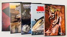 5 Discovery Channel DVDs Tigers Sharks Dinosaurs American Bikers Nefertiti - £22.82 GBP
