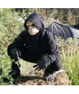 Rebob Costume Bat Wings Creepy Monkey Mask Halloween Cryptid Napa Valley... - $89.08 CAD+