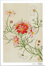 Postcard  Oriental Writing Daisy Flowers Red Green White  6 x 4 inches - £4.66 GBP