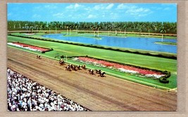 Horse Racing at Hialeah Race Course Florida Thrilling Race Postcard - £8.35 GBP