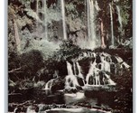 Falling Springs Waterfall Hot Springs Virginia UNP Unused Murell DB Post... - $5.31