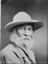 Photograph Of Walt Whitman, Historical Artwork From 1870, 8&quot; X 10&quot;, Matte. - £27.13 GBP