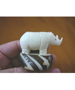 (TNE-RHI-174B) RHINO Rhinoceros TAGUA NUT Figurine carving Vegetable lov... - €21,91 EUR
