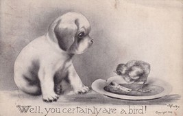 Dog Young Puppy Well You Certainly Are A Bird Signed Colby 1909 Postcard B16 - £2.28 GBP