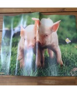 *Creased* Vintage 1998 Tangerine Press Pig Poster 24&quot; X 18&quot; - $19.79