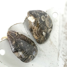 TURRITELLA AGATE snail fossil screw-back earrings - vintage brown polished stone - $10.99