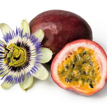 New Fresh Seeds 20 Purple Passion Fruit Passionflower Granadilla Passiflora Edul - $14.90