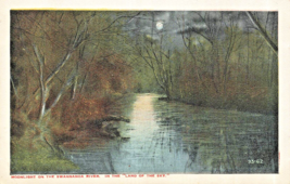Moonlight On The Swannanoa River In The Land Of The Sky~Asheville Co Postcard - £10.56 GBP