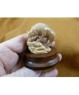 (TB-WART-6) tan wild Warthog wart hog tagua nut figurine Bali detailed - €57,77 EUR