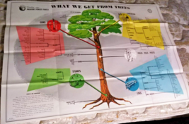 Vtg 1957 Smokey Bear Poster Print &quot;What We Get From Trees&quot; Fire Preventi... - $1,234.89 MXN