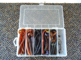 50 Piece Bass Fishing Worm Kit In Plastic Case  &quot; GREAT MIXED LOT &quot; - $26.17