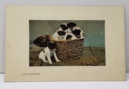 JUST ARRIVED Basket of Puppies Adorable Vintage Great Britain c1915 Postcard B8 - £7.03 GBP