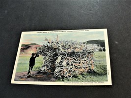 House of Antlers at Mammoth, Yellowstone National Park, Wyoming - Postcard. - £5.36 GBP