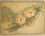 Two White Flowers Castle In Background Victorian Trade Card VTC 3 - $6.92