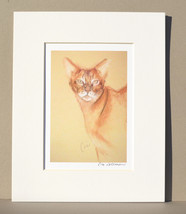 Abyssinian Cat Art Print Signed Matted Solomon - $15.00