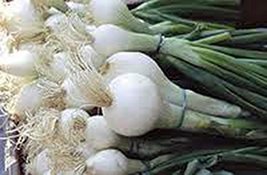 Onion, Spanish White, Heirloom, 500 Seeds, Sweet, Great for Cooking - $16.47