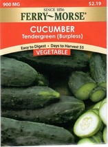 GIB Cucumber Tendergreen (Burpless) Vegetable Seeds Ferry Morse  - $10.00