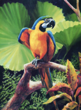 macaw parrot tropical bird jungle nature garden ceramic tile mural backsplash - £47.47 GBP+